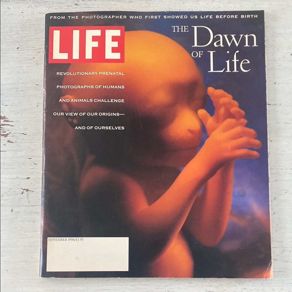 1996 Life Magazine - The Dawn of Life Issue